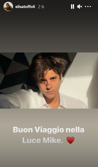 Elisa ricorda Michele Merlo