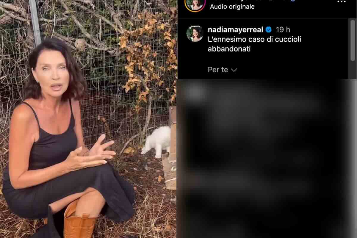 nadia mayer appello cuccioli