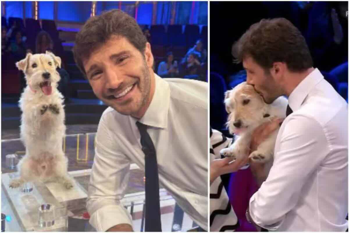 chi è il cane gennarino