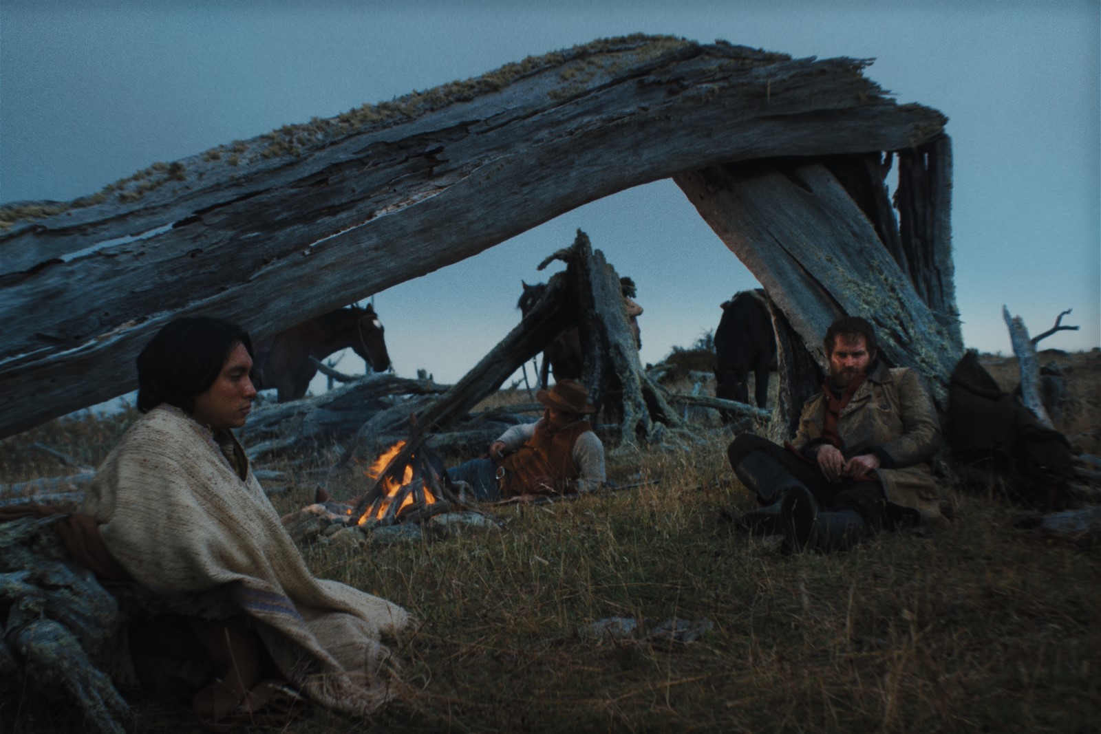 Dal 7 marzo nei cinema con Lucky Red e dal 29 marzo in streaming su MUBI Los Colonos (The Settlers) del regista messicano Felipe Gálvez.
