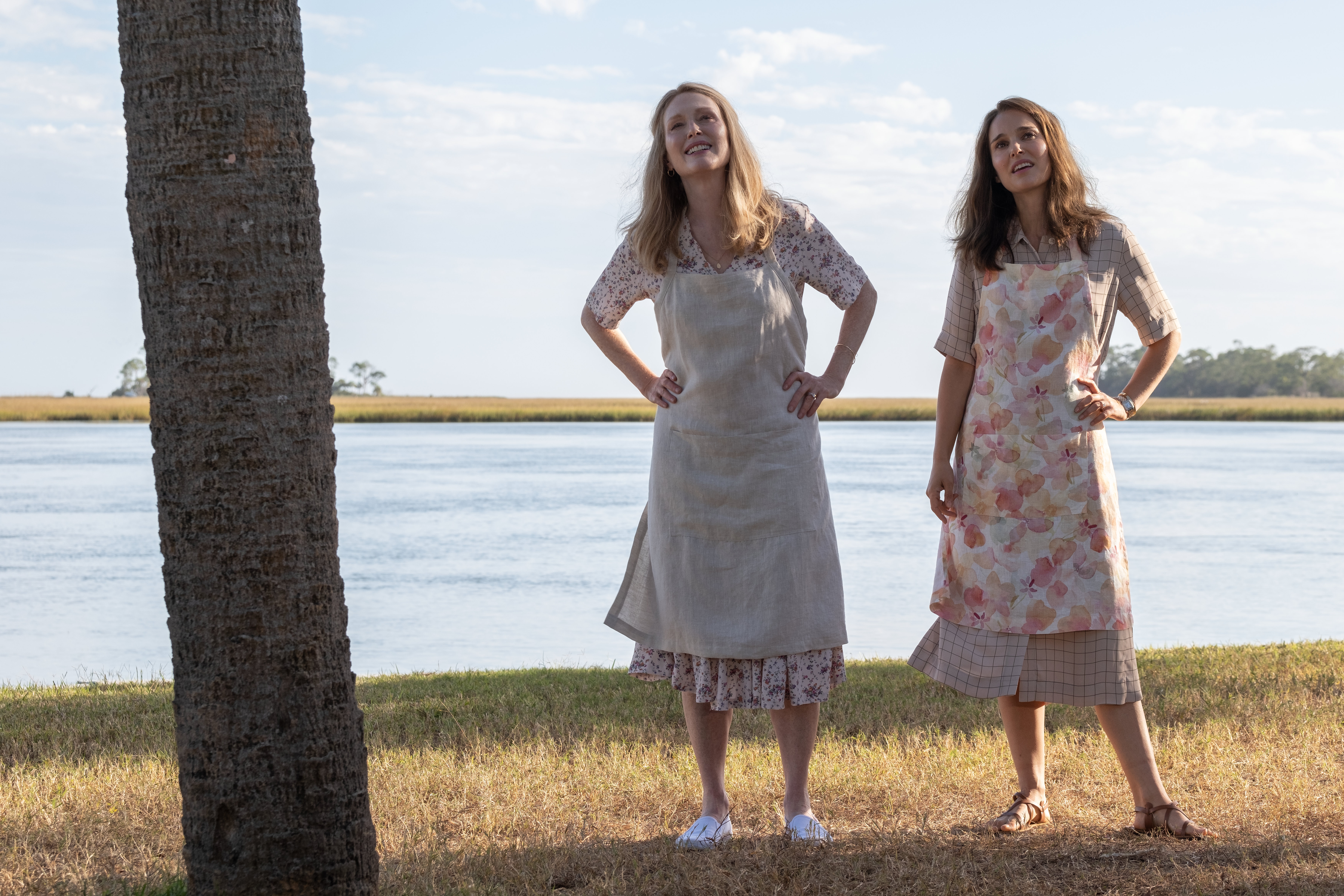 Al cinema con Lucky Red il film basato su una storia vera con Natalie Portman e Julianne Moore candidato agli Oscar 2024 per la miglior sceneggiatura originale.