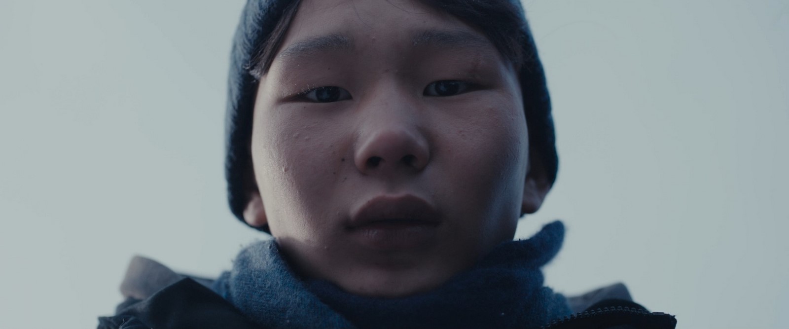 Nei cinema italiani con Trent Film Se solo fossi un orso, il film d'esordio di Zoljargal Purevdash vpresentato in anteprima al Festival di Cannes 2023 nella sezione Un Certain Regard.