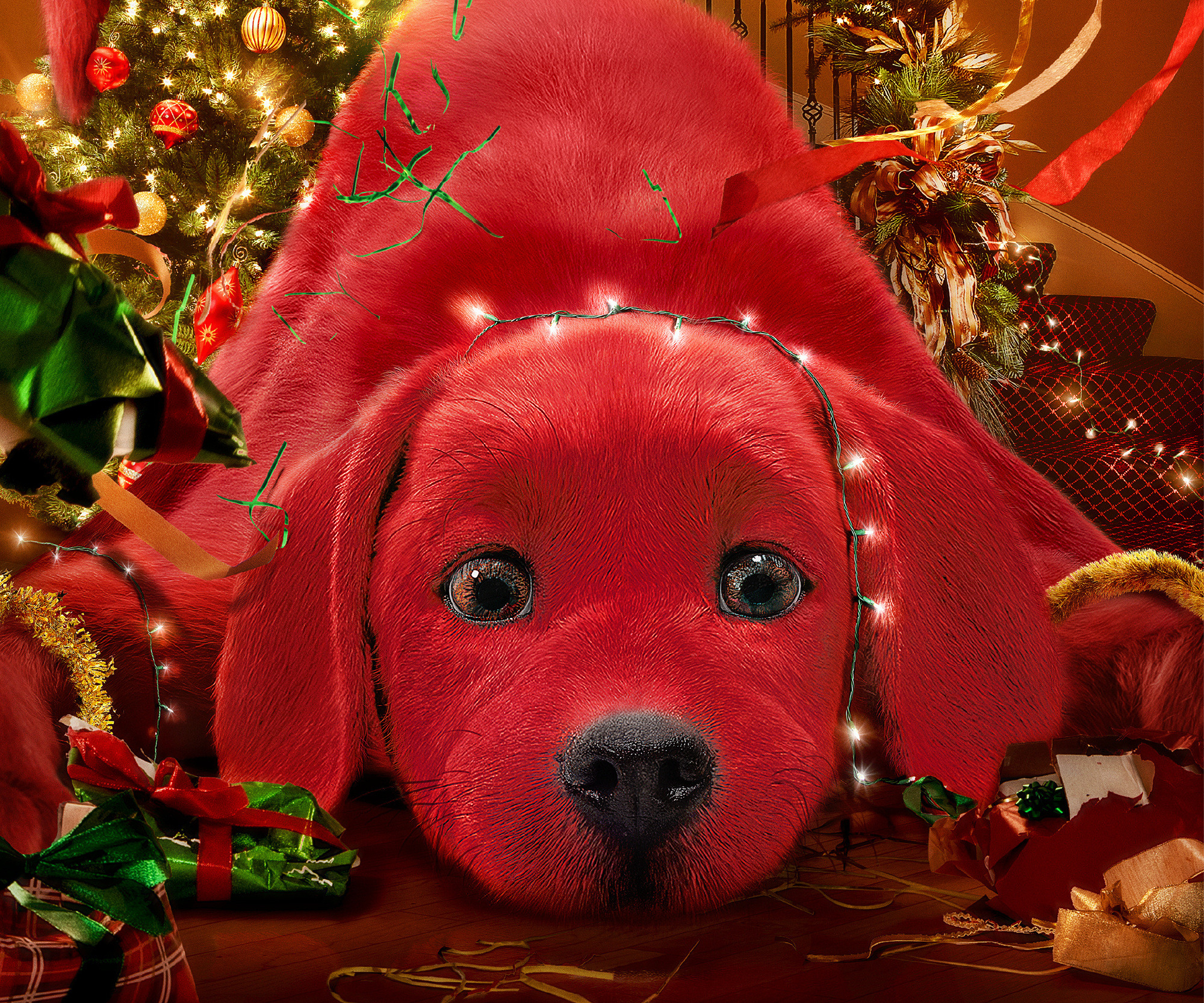 Stasera in tv: "Clifford – Il Grande Cane Rosso" su Italia 1