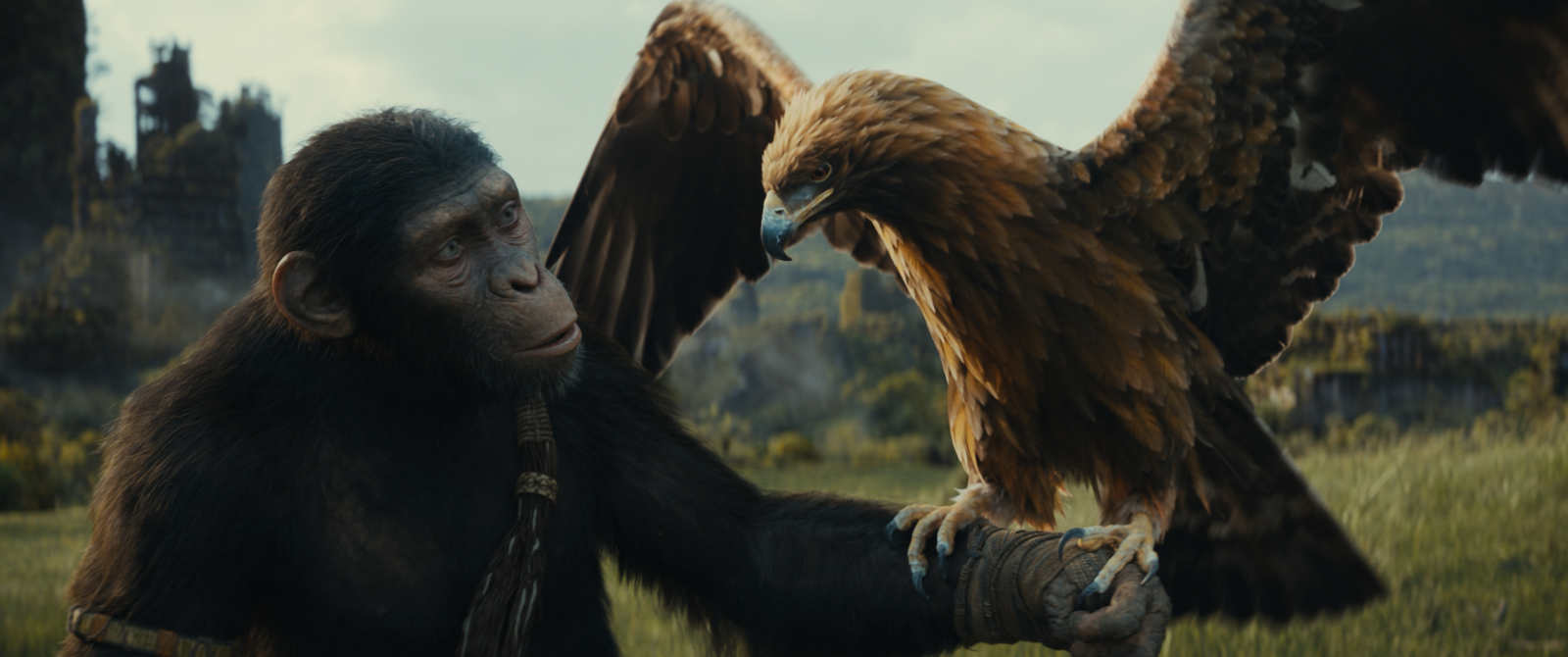 Recensione e tutto quello che c'è da sapere su "Il regno del Pianeta delle scimmie", il sequel di Wes Ball che debutta in streaming su Disney+