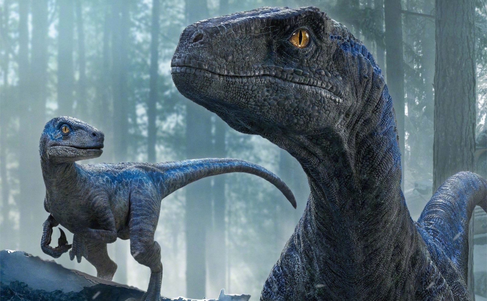 Su Italia Uno Jurassic World - Il Dominio di Colin Trevorrow, capitolo finale della nuova trilogia di Jurassic Park con Chris Pratt, Bryce Dallas Howard, Laura Dern, Jeff Goldblum e Sam Neill.