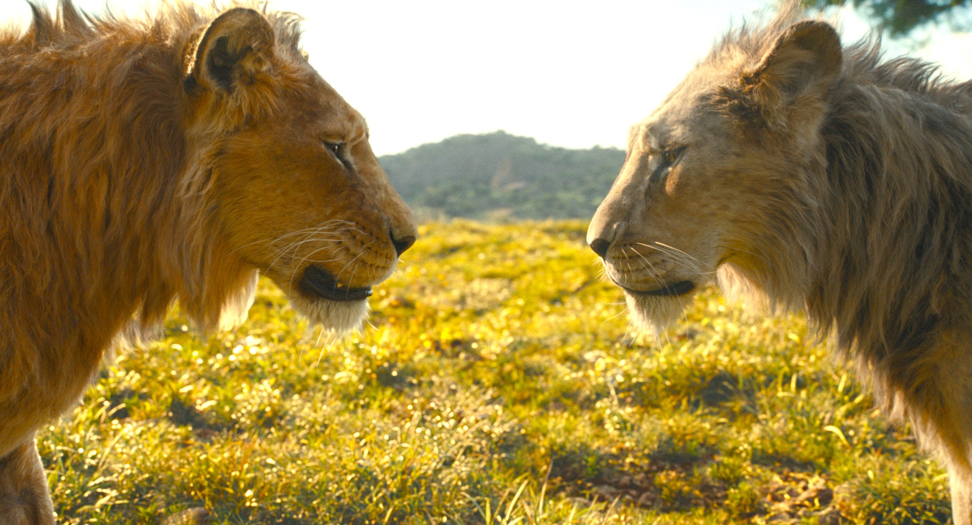 Recensione e tutto quello che c'è da sapere su "Mufasa - Il re leone", il sequel/prequel Disney di Barry Jenkins con le voci italiane di Luca Marinelli, Stefano Fresi, Edoardo leo, Marco Mengoni, Elisa e Elodie.