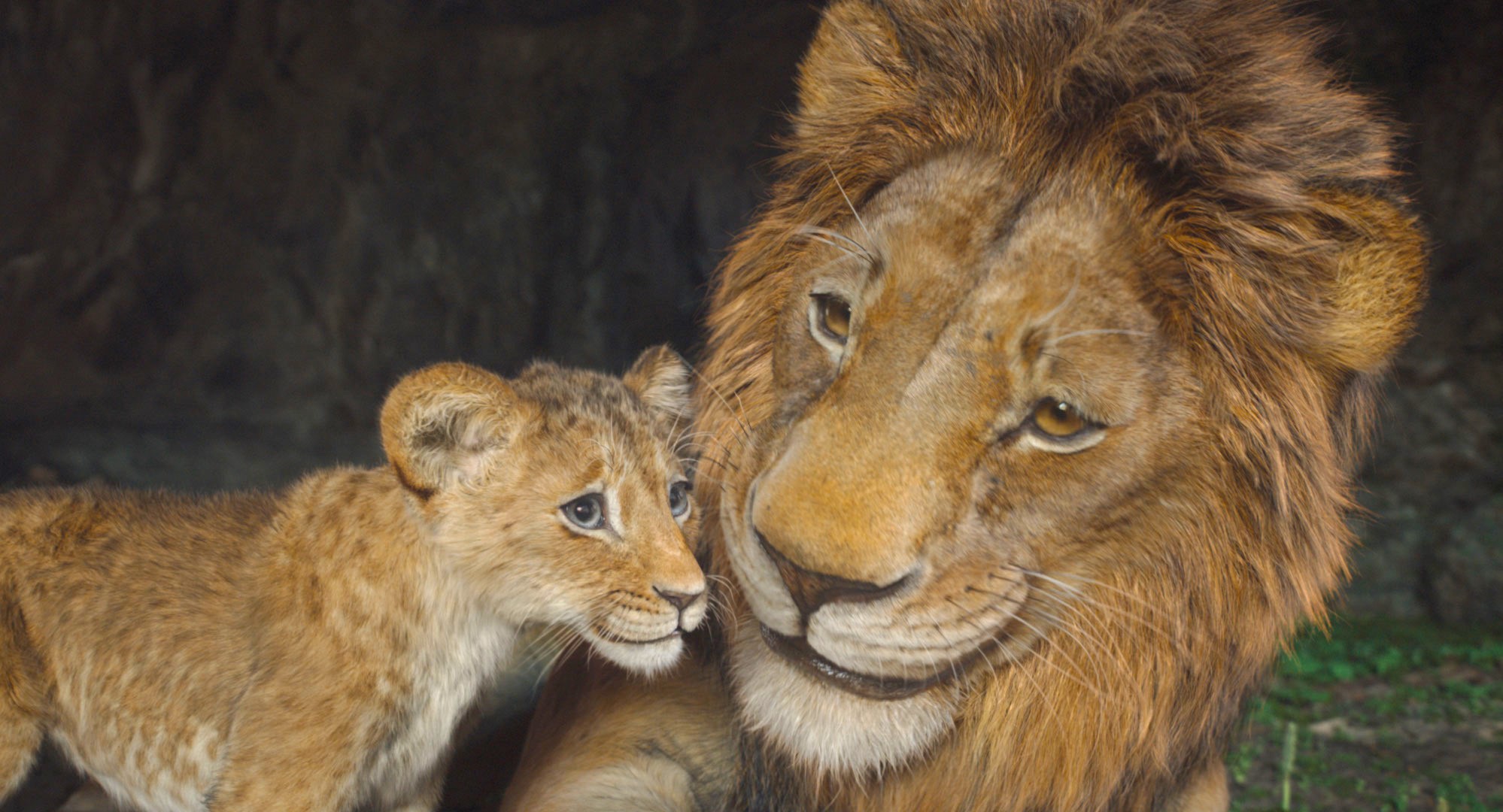 Recensione e tutto quello che c'è da sapere su "Mufasa - Il re leone", il sequel/prequel Disney di Barry Jenkins con le voci italiane di Luca Marinelli, Stefano Fresi, Edoardo leo, Marco Mengoni, Elisa e Elodie.
