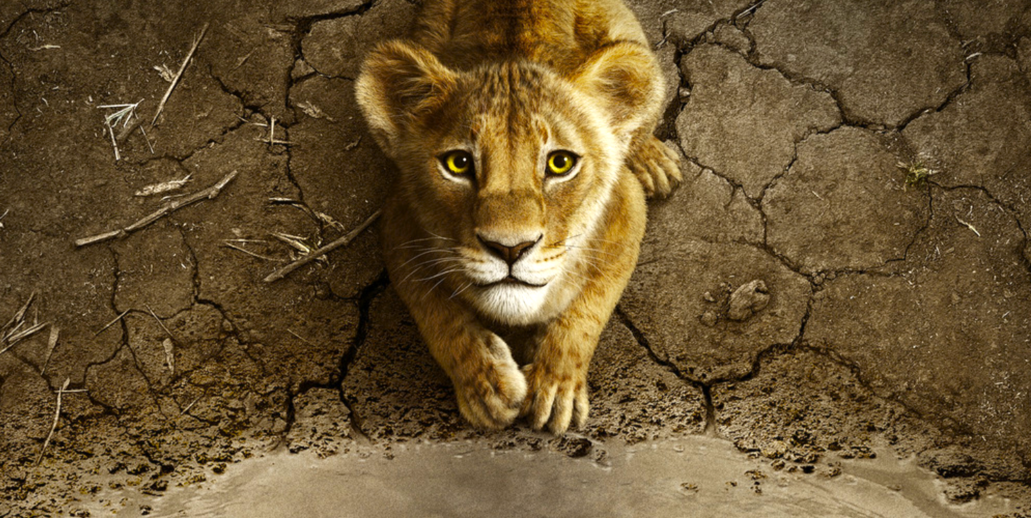 Recensione e tutto quello che c'è da sapere su "Mufasa - Il re leone", il sequel/prequel Disney di Barry Jenkins con le voci italiane di Luca Marinelli, Stefano Fresi, Edoardo leo, Marco Mengoni, Elisa e Elodie.