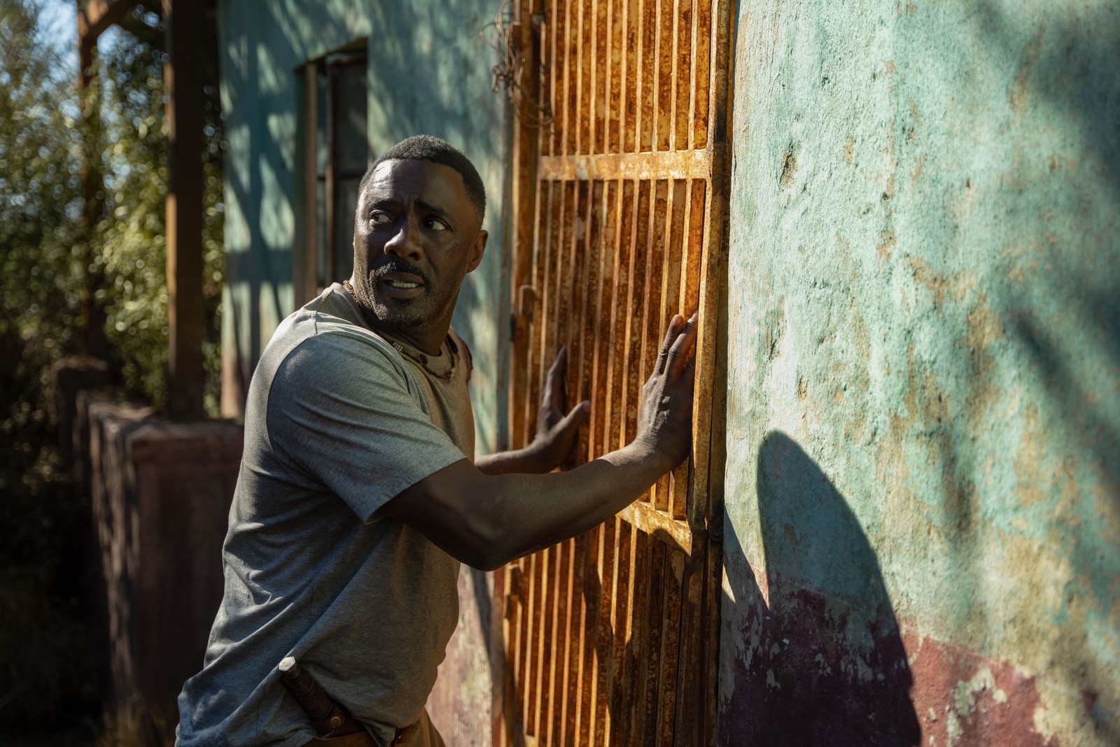Tutto quello che c'è da sapere su Beast in onda su rete 4, il survival-thriller con leoni feroci di Baltasar Kormákur (Contraband) con Idris Elba, Iyana Halley, Leah Sava Jeffries e Sharlto Copley.