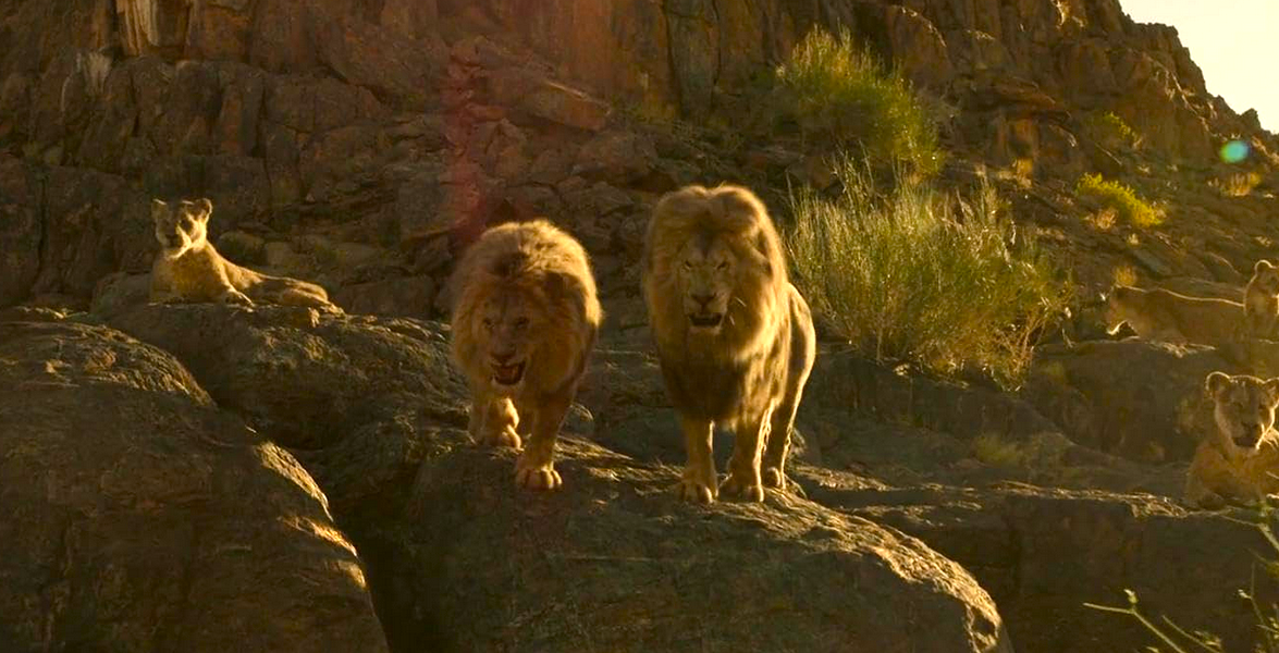 Tutto quello che c'è da sapere su Beast in onda su rete 4, il survival-thriller con leoni feroci di Baltasar Kormákur (Contraband) con Idris Elba, Iyana Halley, Leah Sava Jeffries e Sharlto Copley.