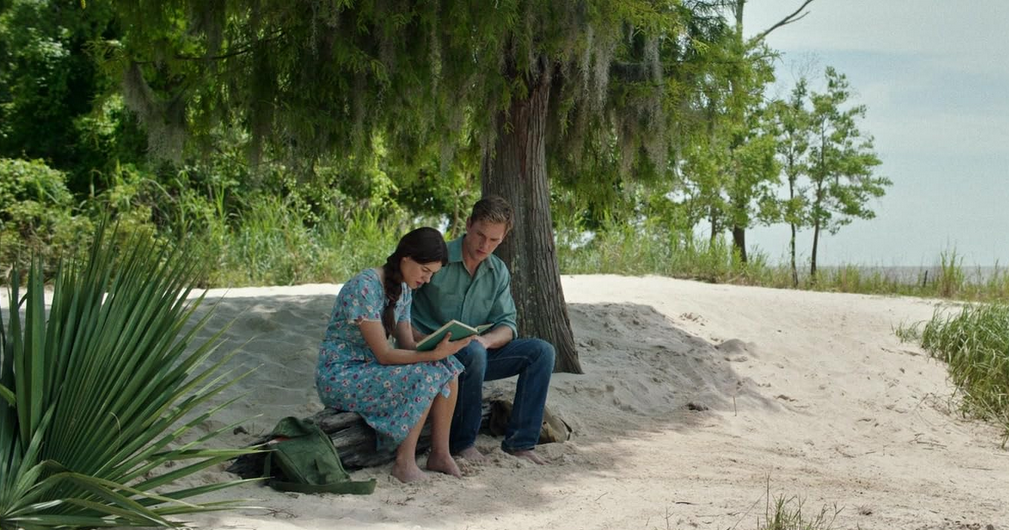 Tutto quello che c'è da sapere su La ragazza della palude , il thriller di Olivia Newman su Rai 1 con Daisy Edgar-Jones basato sul libro bestseller "Where The Crawdads Sing" di Delia Owens.