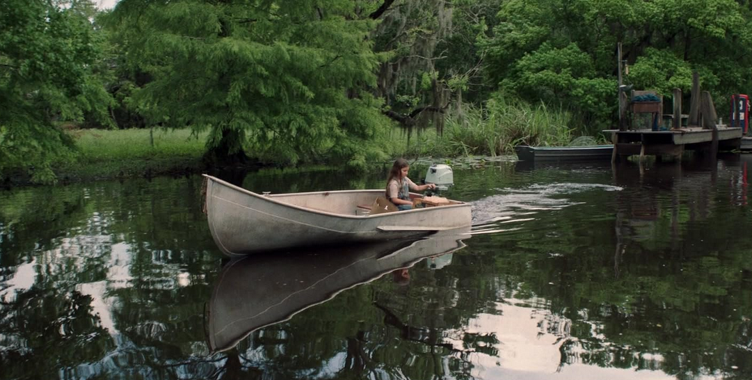 Tutto quello che c'è da sapere su La ragazza della palude , il thriller di Olivia Newman su Rai 1 con Daisy Edgar-Jones basato sul libro bestseller "Where The Crawdads Sing" di Delia Owens.