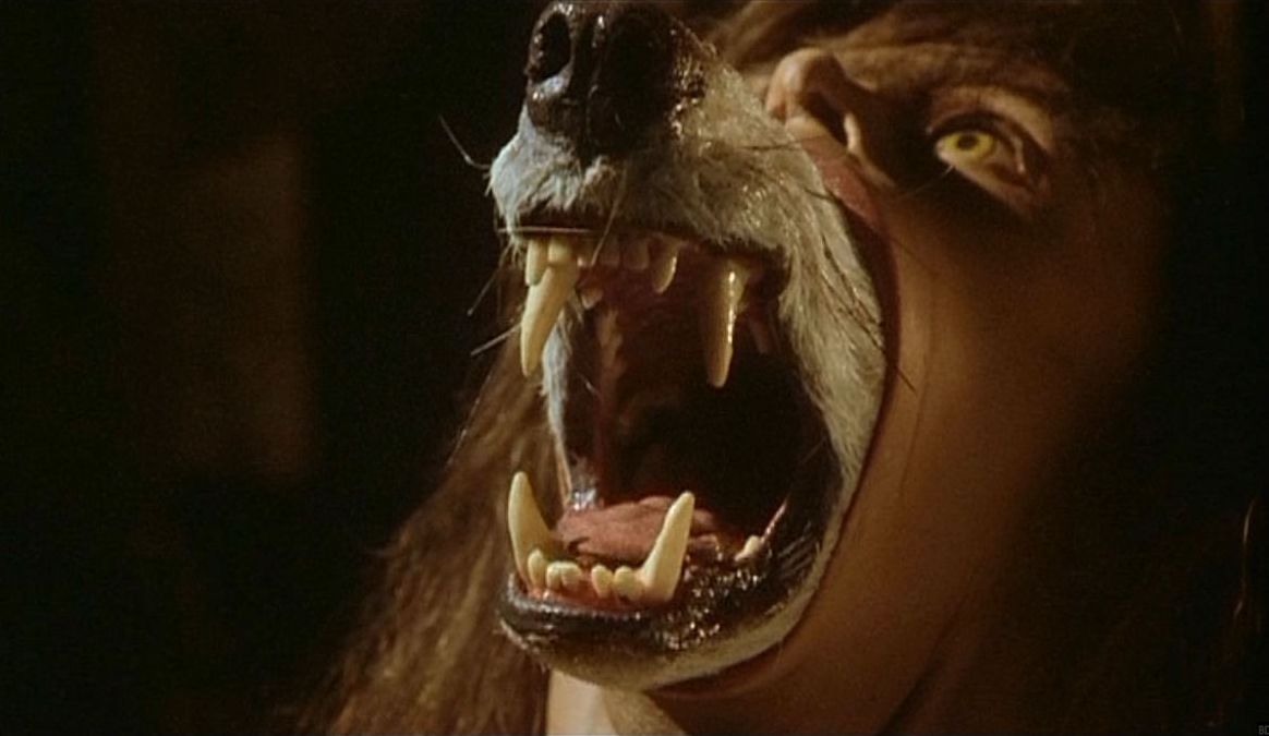 Cineblog ha raccolto e selezionato 20 scene di trasformazione tratte da film horror con lupi mannari, dal recente "Wolf Man" al cult "Un lupo mannaro americano a Londra", da "L'ululato" di Joe Dante al britannico "Dog Soldiers".
