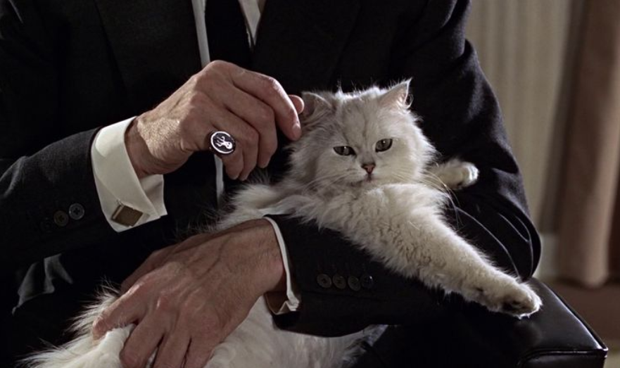 Da Flow - Un mondo da salvare a Garfield - Il film: scopri la classiifca di Cineblog con una top 15 di gatti famosi apparsi al cinema.