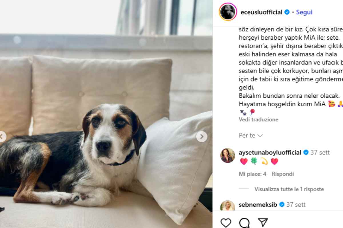 attrice sumru annuncio