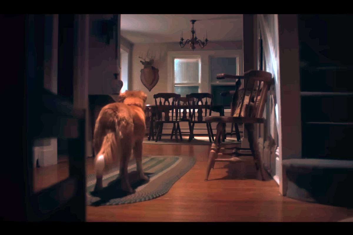 Good Boy ha un cane protagonista