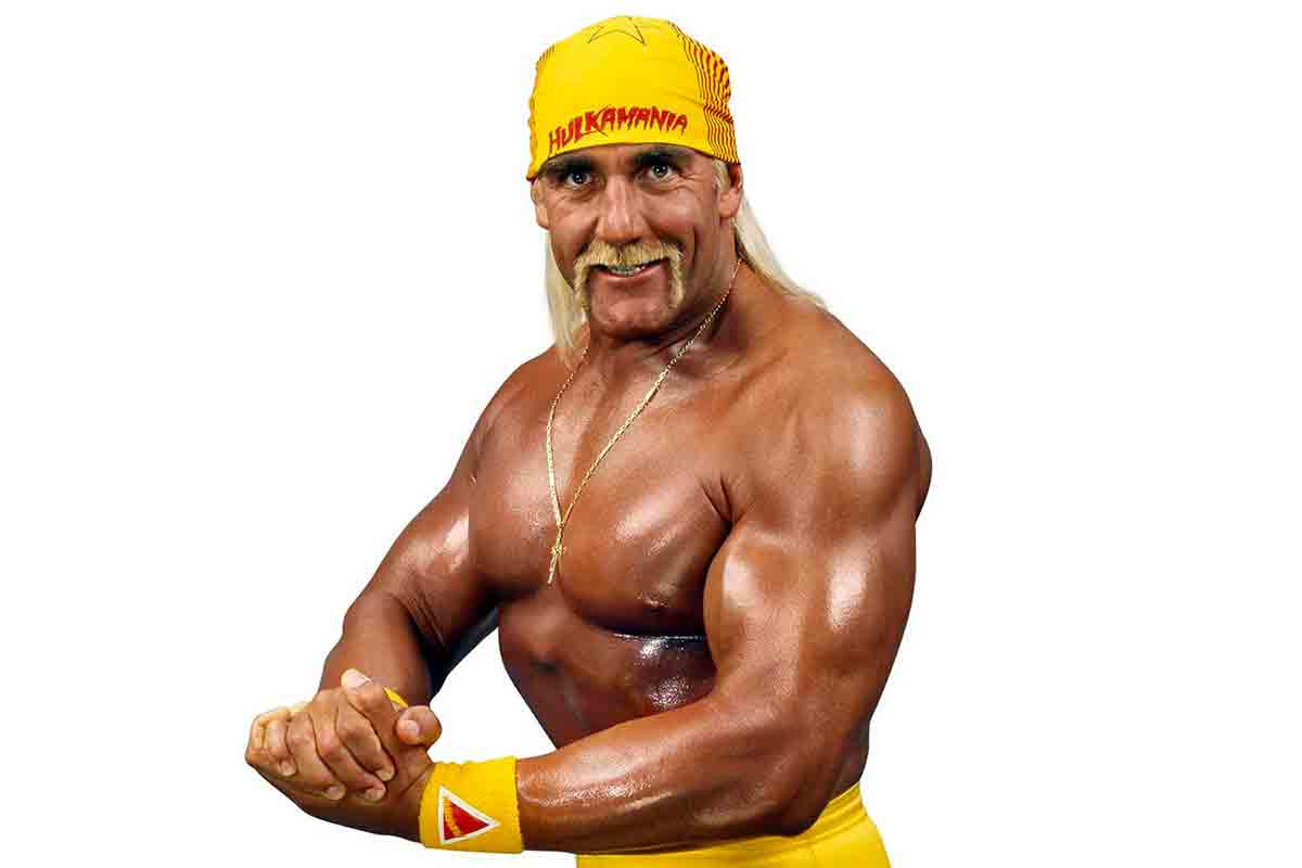 Hulk Hogan e la Musica